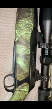Hola. 
Un compañero me ofrece este rifle, me gustaría que me ayudaseis a saber si se corresponde con un 21