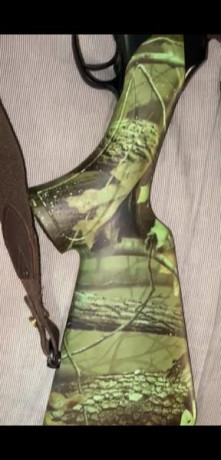 Hola. 
Un compañero me ofrece este rifle, me gustaría que me ayudaseis a saber si se corresponde con un 20