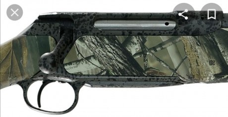 Hola. 
Un compañero me ofrece este rifle, me gustaría que me ayudaseis a saber si se corresponde con un 41