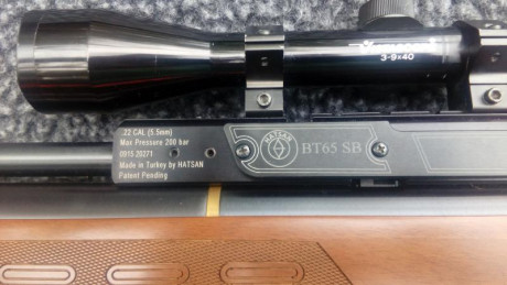 Vendo hatsan bt65 hb w version madera con cerojo lateral en perfectas condiciones bien cuidada tal y como 10