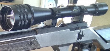 CAMBIO  O VENDO WALTHER KK200 del calibre 22lr en perfectas condiciones  de tiro agrupa de maravilla de 11
