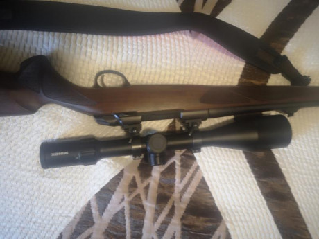 Vendo sako 85 hunter 300 WSM, con monturas talley altas y visor Minox zx5 5-25x56..
El rifle esta guiado 02