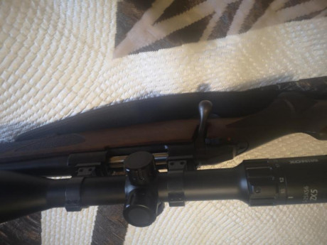 Vendo sako 85 hunter 300 WSM, con monturas talley altas y visor Minox zx5 5-25x56..
El rifle esta guiado 00