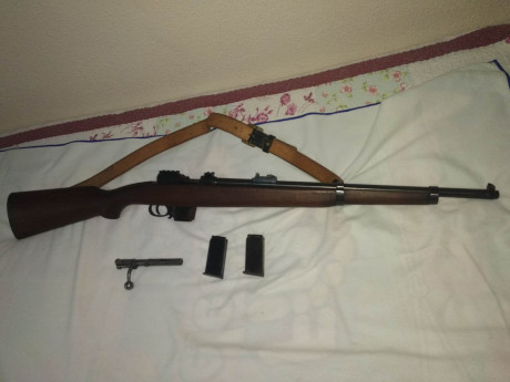 Hola! 
Un amigo me ha pedido le ponga en venta una magnifica carabina Destroyer en calibre 9mm Pb en perfecto 00