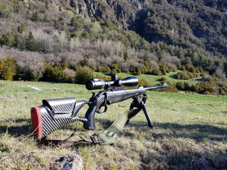 Distribuido por Excopesa y para Sauer S100 yS101, o Mauser M12, así como dos terminaciones para Blaser 30