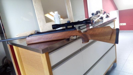 Vendo este ejemplar de Anschutz modelo 220 , funcionando. El estado desde luego no es perfecto. Incorpora 02