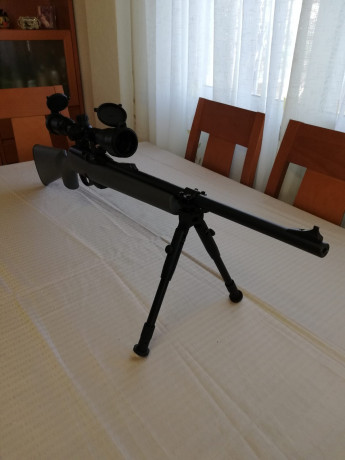 Buenas, vendo esta carabina de Remington 597 del 22lr.

Viene con un visor de Leapers 3-9x40 y un bipode 02
