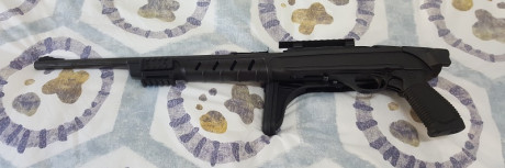  ***RETIRADA DE LA VENTA*** 

Vendo carabina Marlín 795 del cal. 22 LR., con riel picatinny para poder 11
