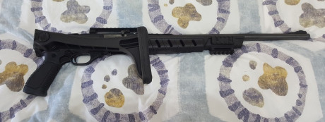  ***RETIRADA DE LA VENTA*** 

Vendo carabina Marlín 795 del cal. 22 LR., con riel picatinny para poder 10