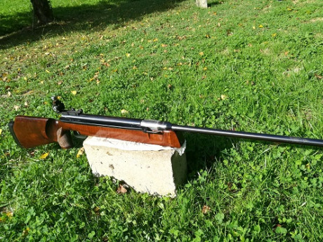 ANSCHÜTZ LG 250
Estupenda carabina para tiro a 10m. De esta carabina SI se puede decir que es como un 11