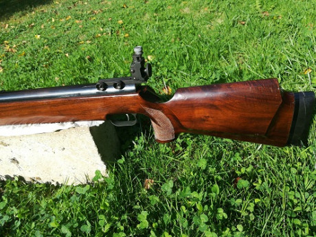 ANSCHÜTZ LG 250
Estupenda carabina para tiro a 10m. De esta carabina SI se puede decir que es como un 10