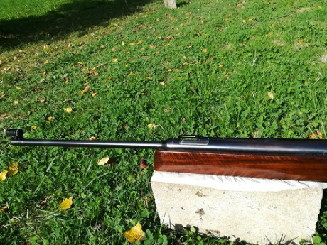 ANSCHÜTZ LG 250
Estupenda carabina para tiro a 10m. De esta carabina SI se puede decir que es como un 22