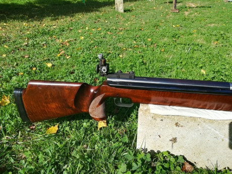 ANSCHÜTZ LG 250
Estupenda carabina para tiro a 10m. De esta carabina SI se puede decir que es como un 20