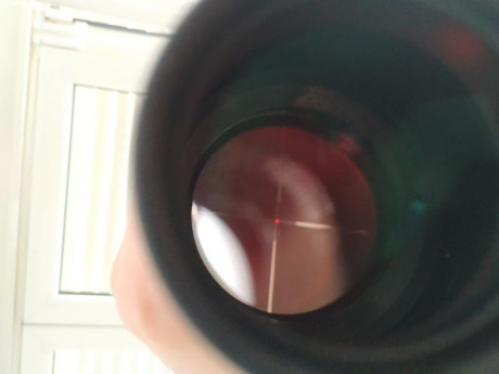 Buenas, vendo avistar de 3-12x56 ri nuevo, me venia con el rifle y le puse otro visor.
200 el visor y 10