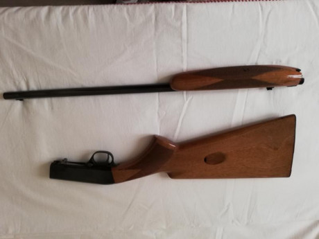 Carabina Semi-auto calibre 22 (Browning) desmontable con cargador en culata

Esta carabina, se fabrica 02