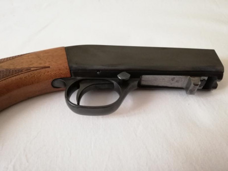 Carabina Semi-auto calibre 22 (Browning) desmontable con cargador en culata

Esta carabina, se fabrica 00