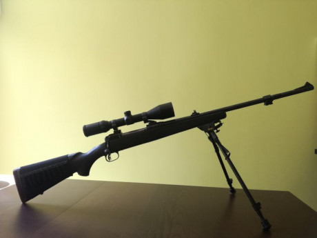 Vendo rifle Savage calibre 338 Win. Magnum, sintético, con bases Apel. Alza de fibra verde.
700 euros. 02