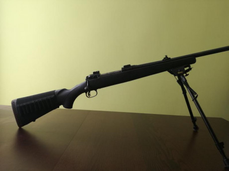 Vendo rifle Savage calibre 338 Win. Magnum, sintético, con bases Apel. Alza de fibra verde.
700 euros. 01