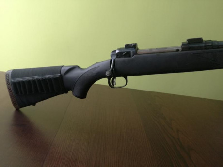 Vendo rifle Savage calibre 338 Win. Magnum, sintético, con bases Apel. Alza de fibra verde.
700 euros. 00