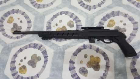  ***RETIRADA DE LA VENTA*** 

Vendo carabina Marlín 795 del cal. 22 LR., con riel picatinny para poder 42