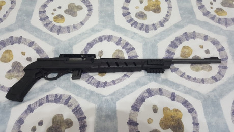  ***RETIRADA DE LA VENTA*** 

Vendo carabina Marlín 795 del cal. 22 LR., con riel picatinny para poder 41