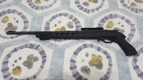  ***RETIRADA DE LA VENTA*** 

Vendo carabina Marlín 795 del cal. 22 LR., con riel picatinny para poder 40