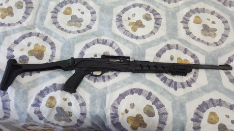  ***RETIRADA DE LA VENTA*** 

Vendo carabina Marlín 795 del cal. 22 LR., con riel picatinny para poder 52