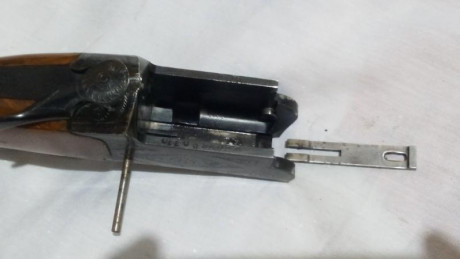 Hola muy buenas. 
Tengo un problema con una escopeta superpuesta Azhur. No soy capaz de sacar la aguja 120