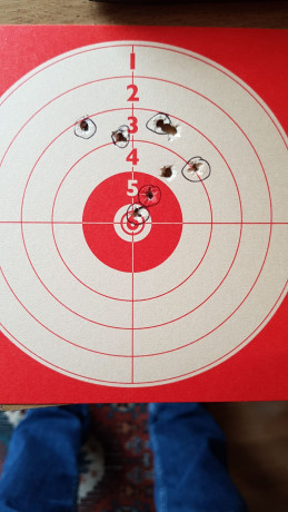 Hola a todos, consulto lo siguiente: resulta.que desde hace tiempo.ando buscando una.carabina que sobre 12