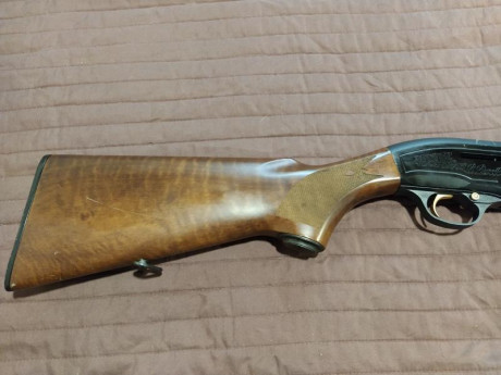 Vendo escopeta Beretta 303 con choques intercambiables, calibre 12, 68 cm de cañón. Funciona perfectamente, 02