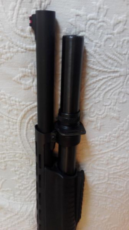 Buenas tardes,

Con todo mi dolor vendo mi Hatsan corredera de 7+1 capacidad calibre 12
Esta perfecta, 11