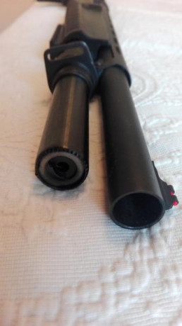 Buenas tardes,

Con todo mi dolor vendo mi Hatsan corredera de 7+1 capacidad calibre 12
Esta perfecta, 10