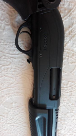 Buenas tardes,

Con todo mi dolor vendo mi Hatsan corredera de 7+1 capacidad calibre 12
Esta perfecta, 22