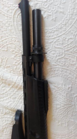 Buenas tardes,

Con todo mi dolor vendo mi Hatsan corredera de 7+1 capacidad calibre 12
Esta perfecta, 30