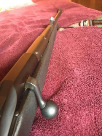 Buenos dias , un amigo me pide ayuda por que deja la actividad de la caza esta quemao del todo,vende su 02