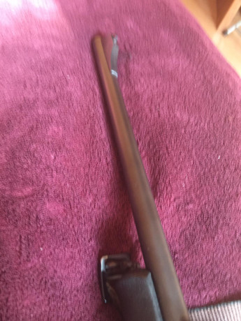 Buenos dias , un amigo me pide ayuda por que deja la actividad de la caza esta quemao del todo,vende su 11