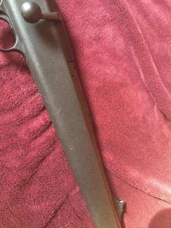 Buenos dias , un amigo me pide ayuda por que deja la actividad de la caza esta quemao del todo,vende su 10