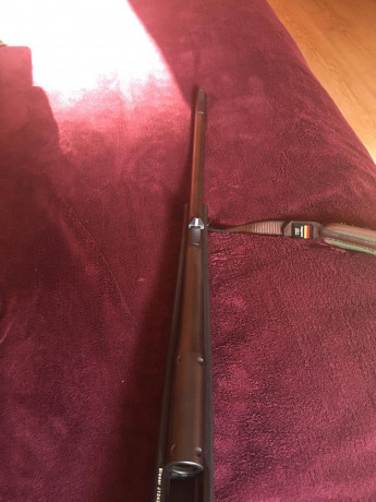 Buenos dias , un amigo me pide ayuda por que deja la actividad de la caza esta quemao del todo,vende su 22