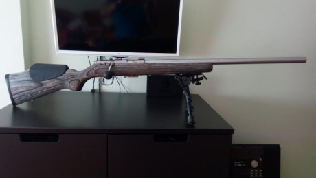 En venta rifle Marlin calibre 17HMR.Madera laminada,cañón inox pesado flotado,gatillo regulable y dos 90