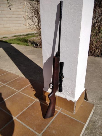 Hola compañeros del aire!! Quiero abrir este hilo para hablar sobre todo lo referente a viejas carabinas 31
