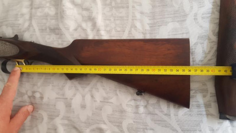 Escopeta paralela Arrieta modelo 510 con pistolet y cola de castor, extractora, indicadores de carga, 01