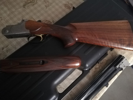 Hola un amigo vende escopeta lamber trap con choques fijos */***
La vende por no usar solo algún entrenamiento 00