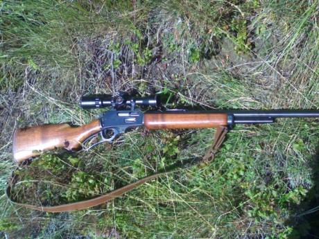 Hola chicos.
Recientemente me han ofrecido comprar un rifle marlin 444 ss.Que os parece este rifle para 90