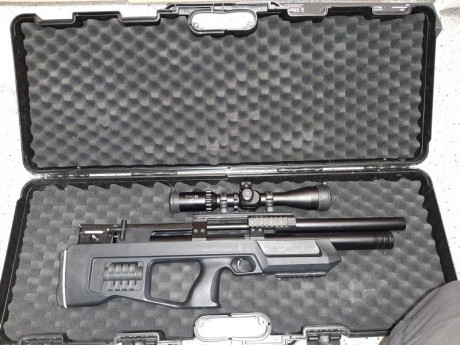 Vendo cricket en 5.5 en polímero comprada hace 5 meses, con garantía de la armería vigente. Una de las 00