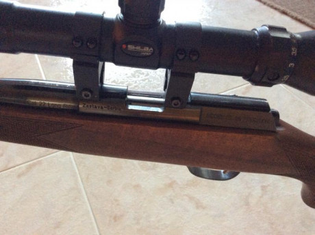 Buenos días. Pongo a la venta rifle del calibre 22 LR. El rifle pasa por nuevo. Lo compré por capricho 01