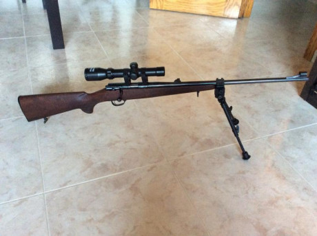 Buenos días. Pongo a la venta rifle del calibre 22 LR. El rifle pasa por nuevo. Lo compré por capricho 00