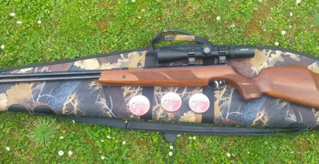 Vendo Hw 77 calibre 4.5 mm ,con visor Ohhunt 4×14×44 funda acolchada Gamo y 3 latas Jsb Exact 500 u. 17.5 01