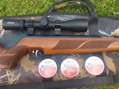 Vendo Hw 77 calibre 4.5 mm ,con visor Ohhunt 4×14×44 funda acolchada Gamo y 3 latas Jsb Exact 500 u. 17.5 00