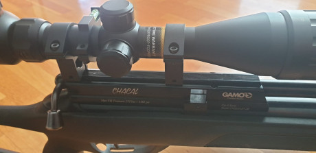 Se vende gamo chacal con bipode y visor.

250 euros. 01