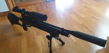 Se vende gamo chacal con bipode y visor.

250 euros. 00